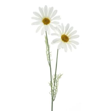 Decorative marguerite SOPY, white, 22"/55cm