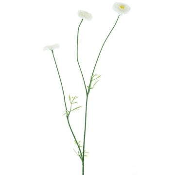 Decorative flower branch Bellis NIKSA, cream, 22"/55cm Decorative flower branch Bellis NIKSA, cream, 22"/55cm