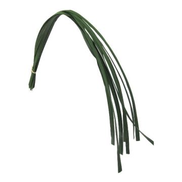 Artificial seagrass FORTE, 8 stalks, green, 3ft/100cm Artificial seagrass FORTE, 8 stalks, green, 3ft/100cm