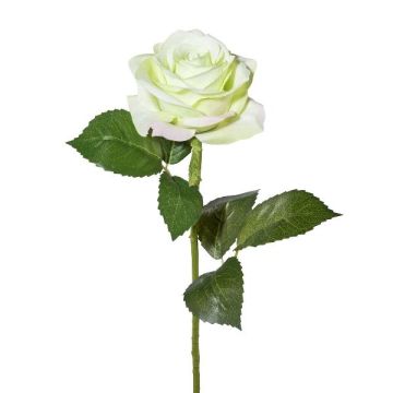 Artificial flower rose ETAVOL, light green-white, 22"/55cm, Ø3.3"/8.5cm Artificial flower rose ETAVOL, light green-white, 22"/55cm, Ø3.3"/8.5cm