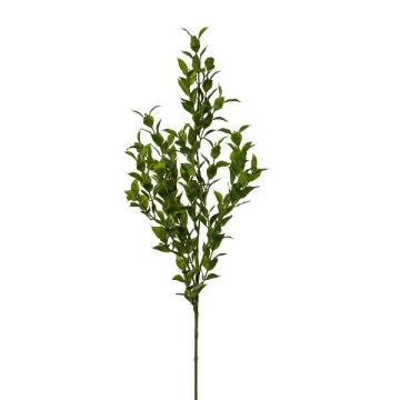 Decorative branch Butcher's broom SNERLO, green, 28"/70cm