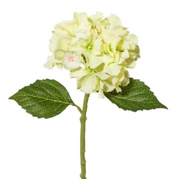 Artificial flower Hydrangea BLUVE, light green, 14"/35cm