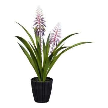 Decorative flower Kniphofia in decorative pot, purple, 18"/45cm