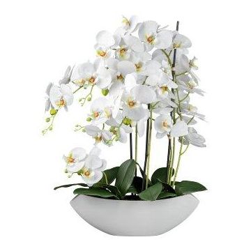 Artificial flower Phalaenopsis orchid XELAV, ceramic bowl, white, 26"/65cm Artificial flower Phalaenopsis orchid XELAV, ceramic bowl, white, 26"/65cm