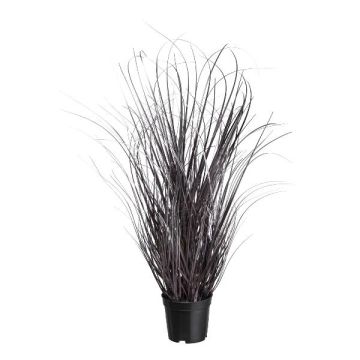 Decorative grass Sedge TAVRE, purple-silver, 30"/75cm