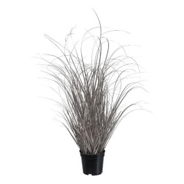 Decorative grass Sedge TAVRE, champagne, 30"/75cm