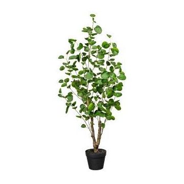 Artificial plant Polyscias MULVI, decorative pot, artificial stem, 4ft/110cm Artificial plant Polyscias MULVI, decorative pot, artificial stem, 4ft/110cm
