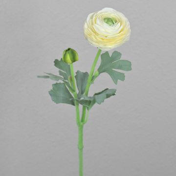 CADISS artificial ranunculus, cream, 50 cm, Ø7.5 cm
