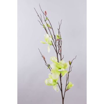 Artificial magnolia branch GLIVOR, cream-green, 4ft/115cm Artificial magnolia branch GLIVOR, cream-green, 4ft/115cm