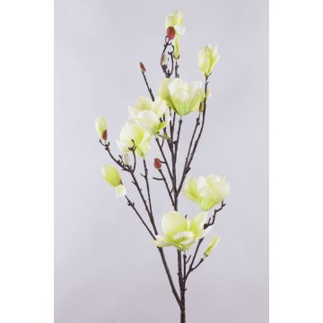 Artificial magnolia branch YONA, cream-green, 4ft/130cm, Ø2"-5.9"/5-15cm Artificial magnolia branch YONA, cream-green, 4ft/130cm, Ø2"-5.9"/5-15cm