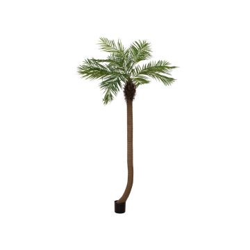 Artificial Phoenix palm MANJANA, 8ft/240 cm Artificial Phoenix palm MANJANA, 8ft/240 cm