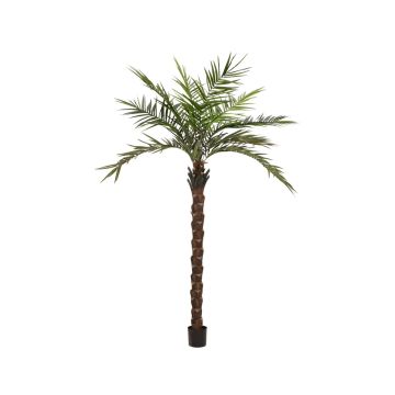 Artificial Kentia Palm MARCOS, 10ft/300 cm