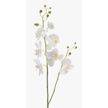 Silk phalaenopsis orchid spray LAHNA, white, 3ft/95cm, Ø2"-4"/5-10cm Silk phalaenopsis orchid spray LAHNA, white, 3ft/95cm, Ø2"-4"/5-10cm