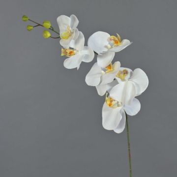 Decorative Phalaenopsis orchid branch LANUA, cream, 31"/75cm