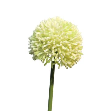 Fake allium BAILIN, cream-green, 16"/40cm