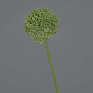 Artificial allium BAILIN, green, 16"/40cm Artificial allium BAILIN, green, 16"/40cm