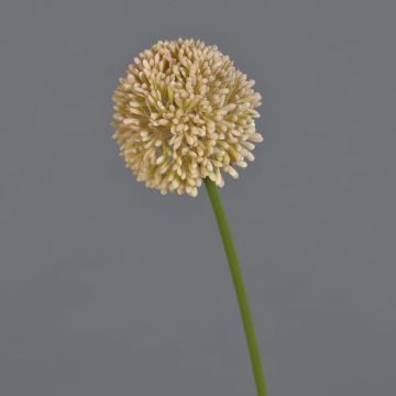 Fake allium BAILIN, pink-cream, 16"/40cm
