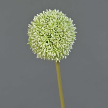 Artificial allium BAILIN, cream-green, 26"/65cm