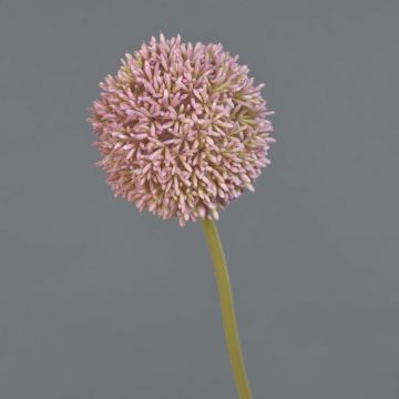 Fake allium BAILIN, pink-cream, 26"/65cm