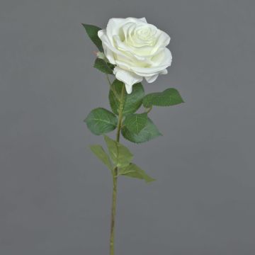 Artificial rose KAILIN, white, 26"/65cm