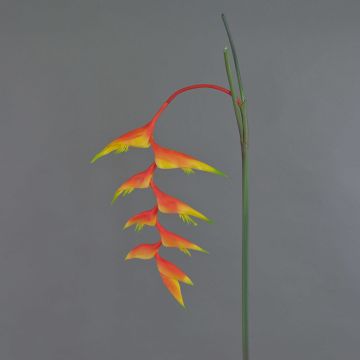 Decorative heliconia flower MEIHUA, orange, 3ft/95cm
