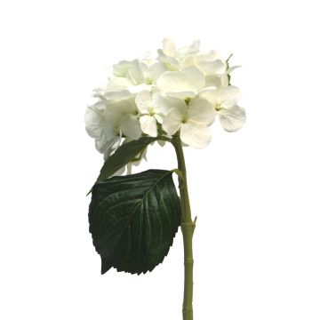 Artificial hydrangea XINCHENG, white, 20"/50cm