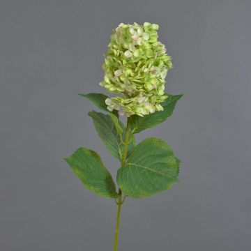 Artificial hydrangea Paniculata YANGDAN, light green, 33"/85cm