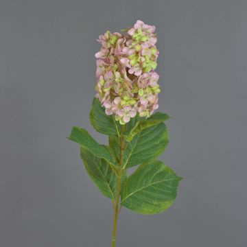 Artificial hydrangea Paniculata YANGDAN, pink-green, 33"/85cm