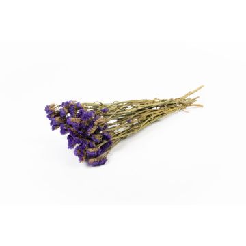 Dried sea lavender BRINJA, bunch, dark purple, 20"-26"/50-65cm, Ø7"/18cm