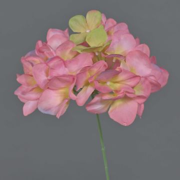 Decorative hydrangea FUHUA, pink-cream, 10"/25cm