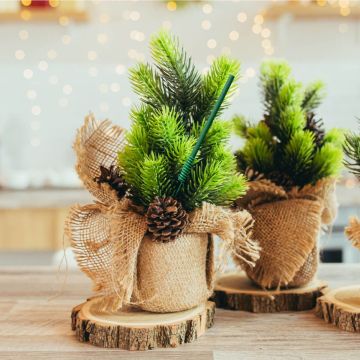 Fragrance Fir Forest - Natural Christmas Decoration Fragrance Fir Forest - Natural Christmas Decoration
