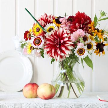 Fragrance Wild & Sweet - Summery Fragrance Decoration Fragrance Wild & Sweet - Summery Fragrance Decoration