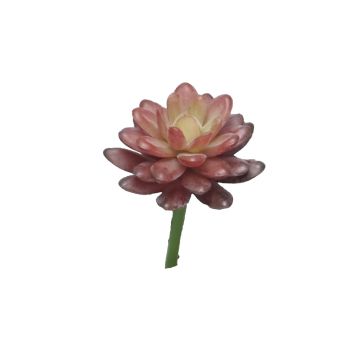 Artificial Sedum rubrotinctum AOLUO on spike, burgundy, 6.3"/16cm