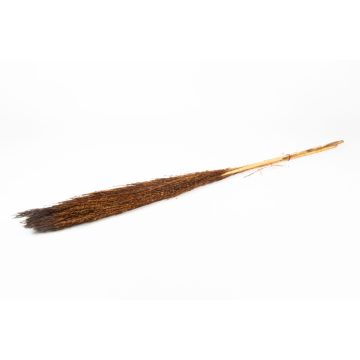 Dried reed bunch DONJETA, brown, 4ft/115-120cm, Ø6"/15cm