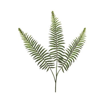 Artificial Boston fern branch WUHAO, green, 20"/50cm Artificial Boston fern branch WUHAO, green, 20"/50cm