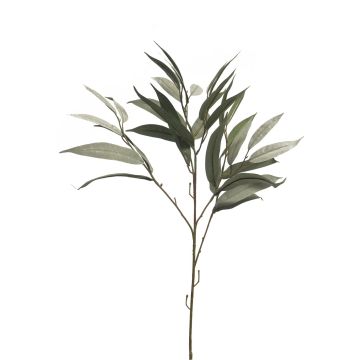 Decorative mango branch WENLIAN, green-grey, 31"/75cm Decorative mango branch WENLIAN, green-grey, 31"/75cm