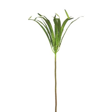 Artificial Dracaena Marginata ZIHAO, green, 33"/85cm Artificial Dracaena Marginata ZIHAO, green, 33"/85cm
