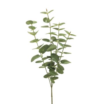 Artificial eucalyptus branch MINJIA, green-grey, 26"/65cm