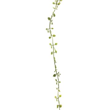 Artificial Muehlenbeckia garland JIAMIN, green-grey, 8ft/240cm