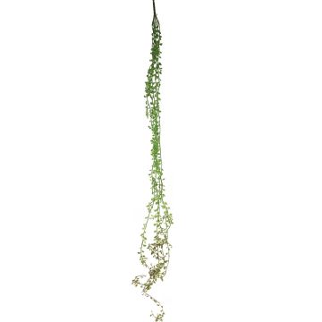 Artificial carmona HUIXIAN on spike, green, 4ft/130cm Artificial carmona HUIXIAN on spike, green, 4ft/130cm