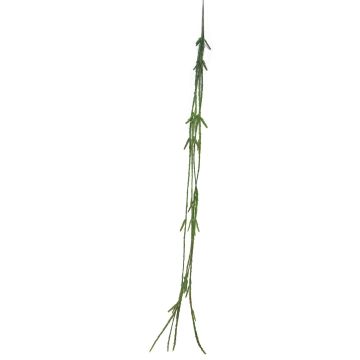 Artificial Rhipsalis MINYAN, spike, green, 3ft/105cm Artificial Rhipsalis MINYAN, spike, green, 3ft/105cm