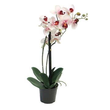 Artificial Phalaenopsis orchid CHENXU, pink-cream, 20"/50cm Artificial Phalaenopsis orchid CHENXU, pink-cream, 20"/50cm