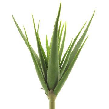 Artificial aloe vera DAHENG on spike, green, 24"/60cm Artificial aloe vera DAHENG on spike, green, 24"/60cm