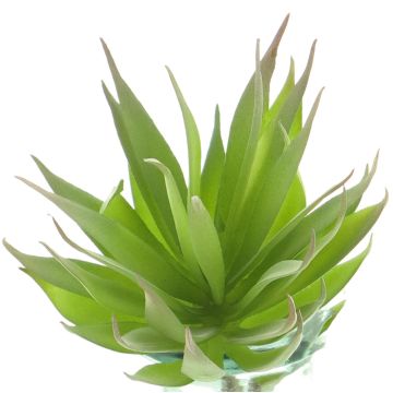 Artificial Agave decipiens DEYUNA on spike, green, 7"/18cm