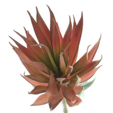 Artificial Agave decipiens DEYUNA on spike, red, 7"/18cm