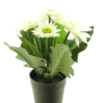 Artificial gerbera XIAOOU in decorative pot, cream, 10"/25cm Artificial gerbera XIAOOU in decorative pot, cream, 10"/25cm