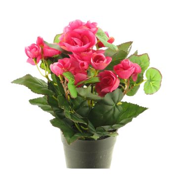 Artificial begonia HETIAN, pink, 10"/25cm Artificial begonia HETIAN, pink, 10"/25cm