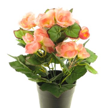 Artificial begonia HETIAN, salmon, 10"/25cm Artificial begonia HETIAN, salmon, 10"/25cm