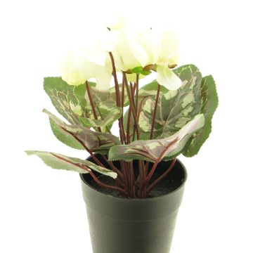 Artificial cyclamen XIAOGUO, cream, 10"/25cm