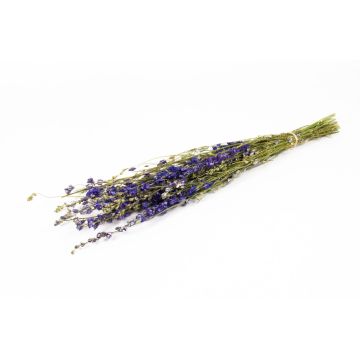 Dried bunch of delphiniums AITHANA, blue-green, 28"/70cm, Ø7"/18cm